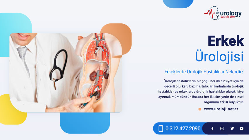 Testis Kanseri